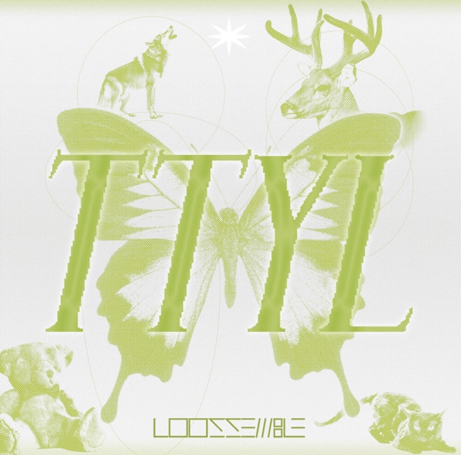 Ƽ̵ϸ 