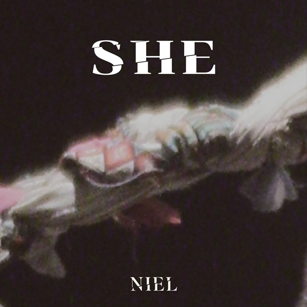 Ƽ̵ϸ 