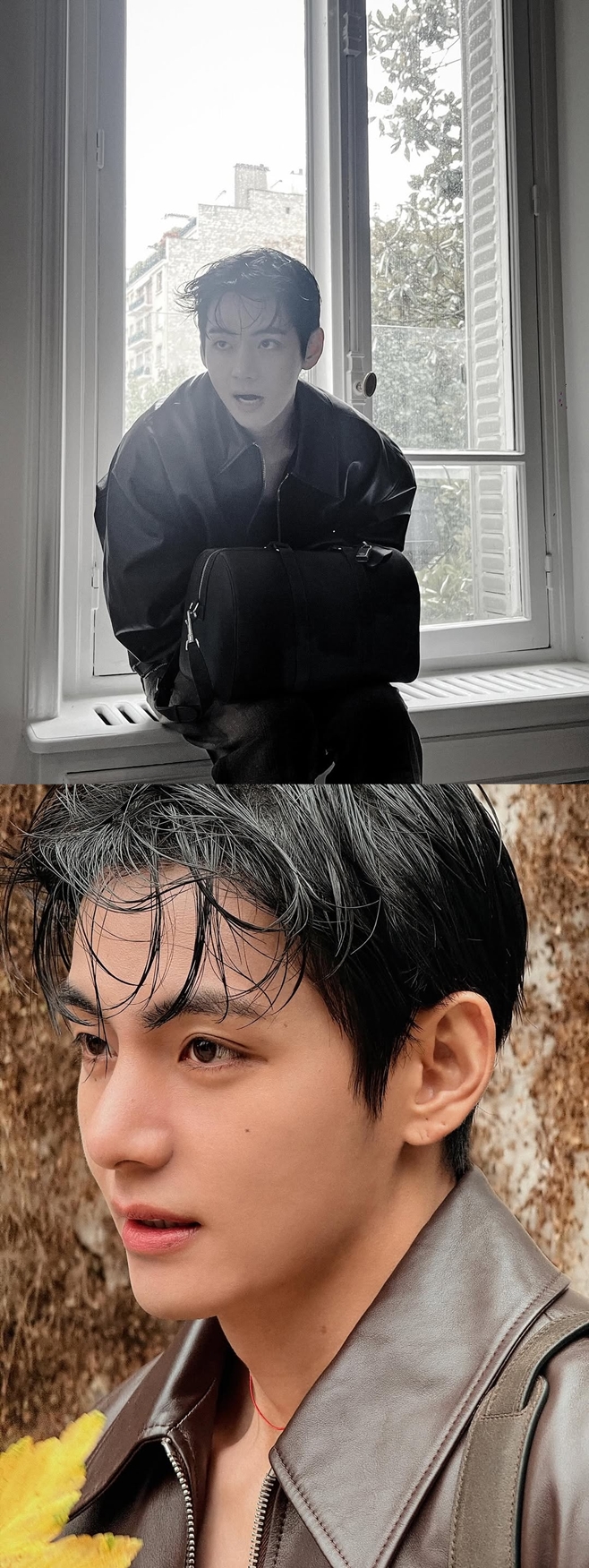 ƼºêÀ̵¥Àϸ® Æ÷Åä