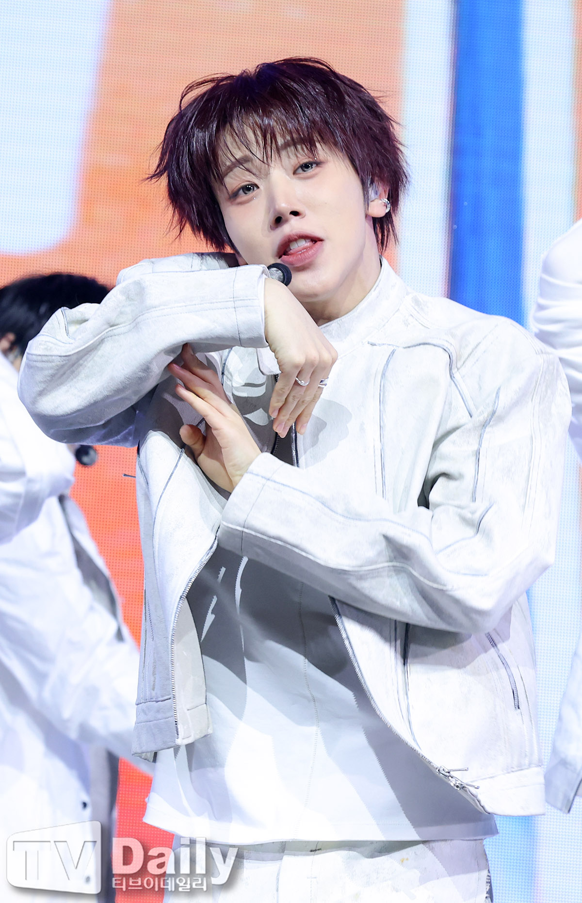 ƼºêÀ̵¥Àϸ® Æ÷Åä