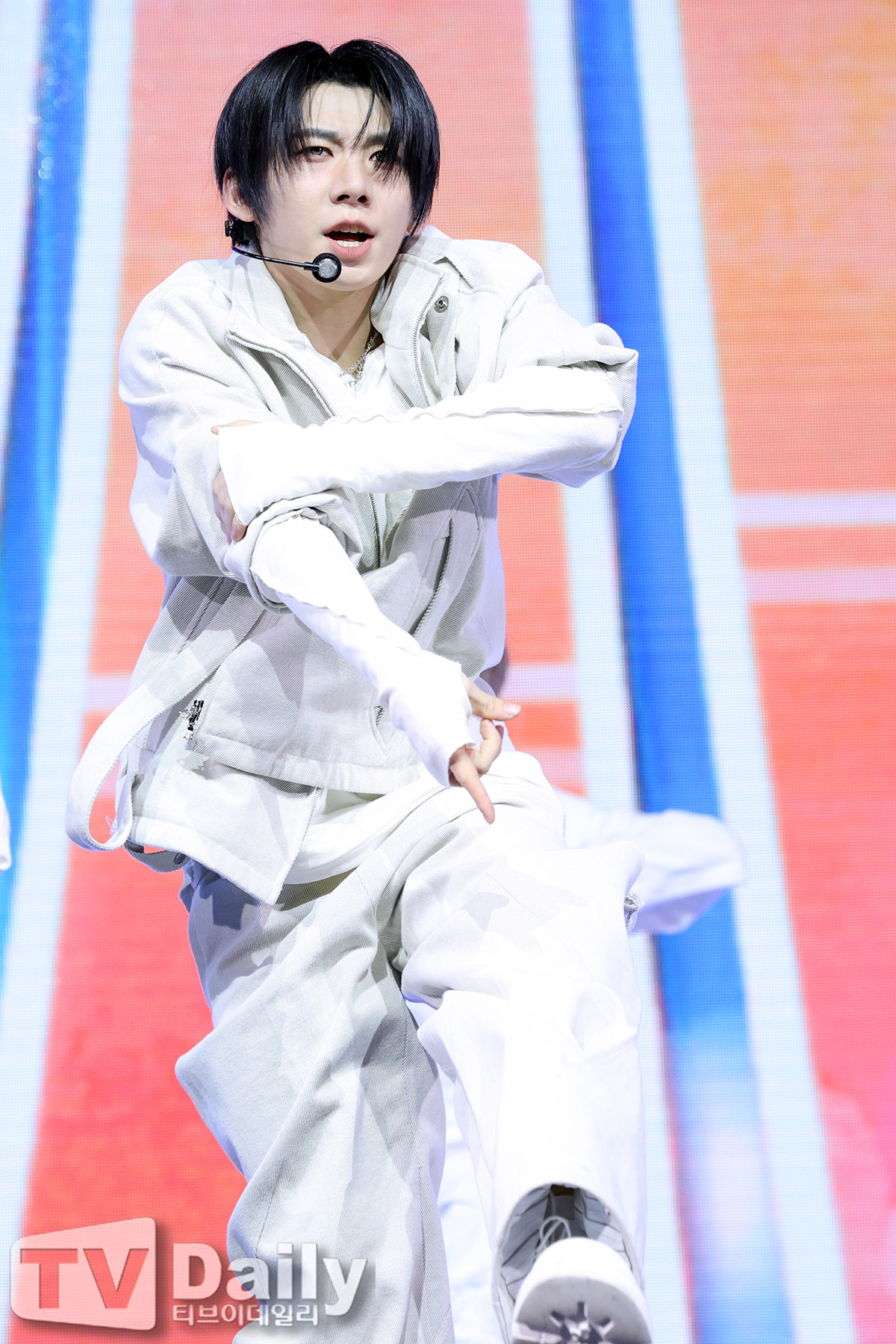 ƼºêÀ̵¥Àϸ® Æ÷Åä