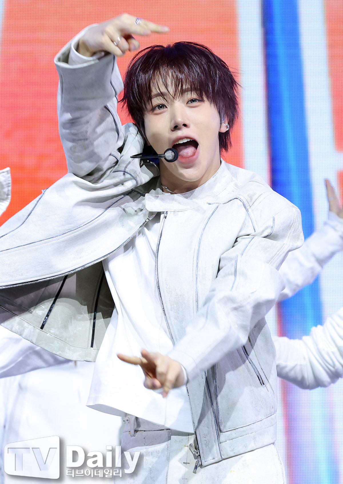 ƼºêÀ̵¥Àϸ® Æ÷Åä