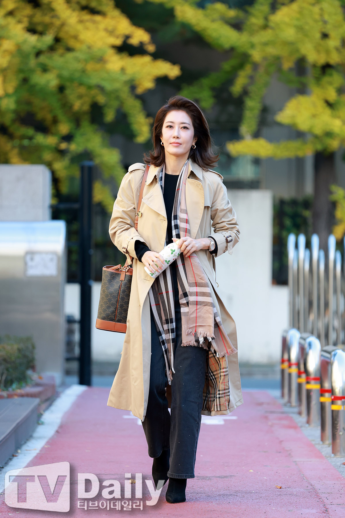 ƼºêÀ̵¥Àϸ® Æ÷Åä