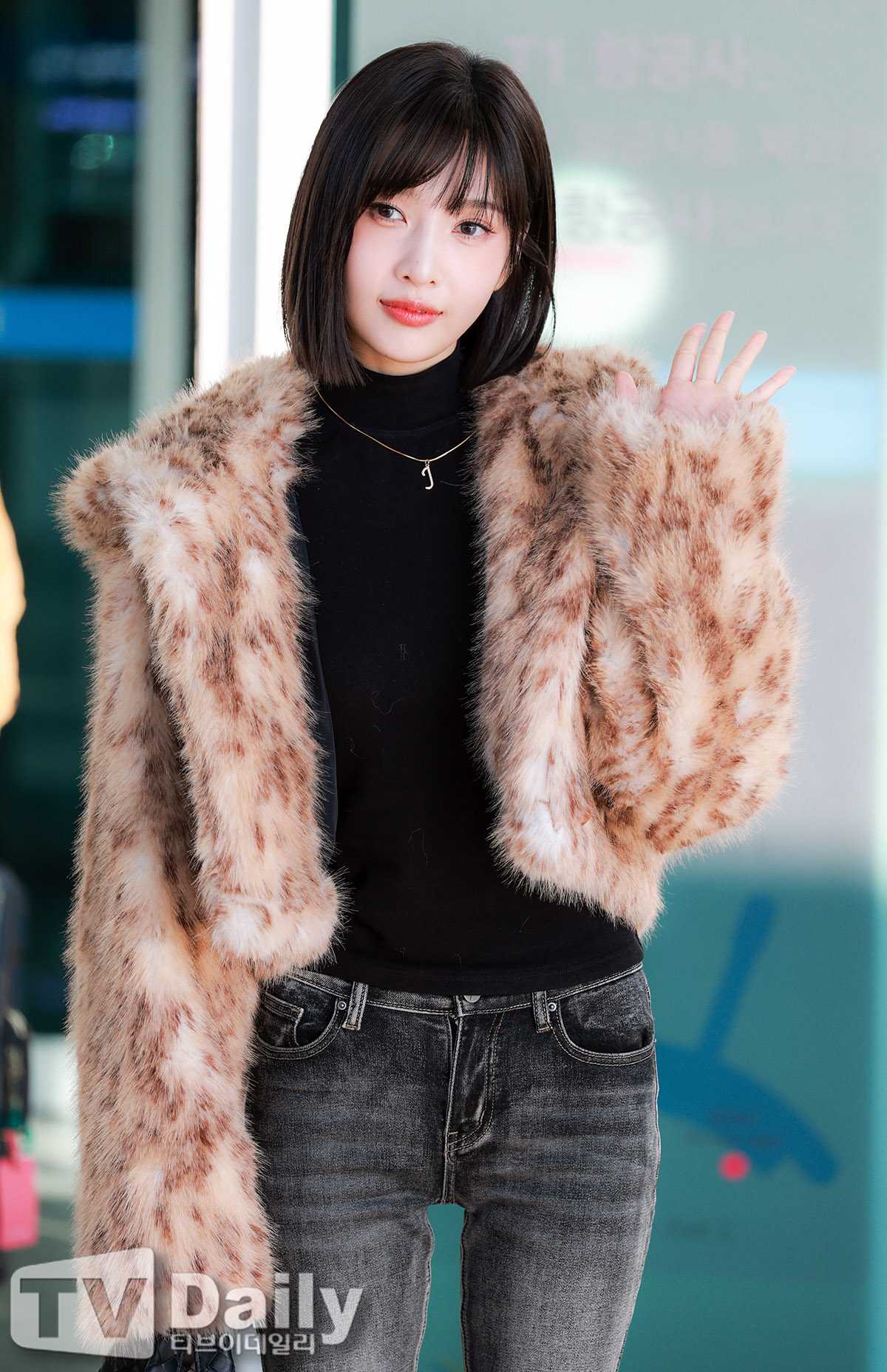 ƼºêÀ̵¥Àϸ® Æ÷Åä