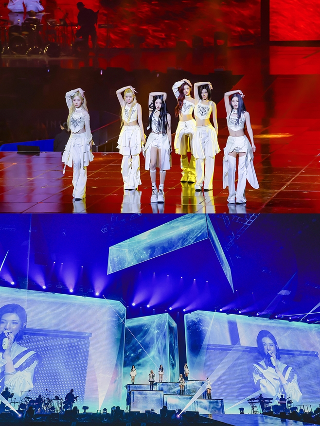 ƼºêÀ̵¥Àϸ® Æ÷Åä