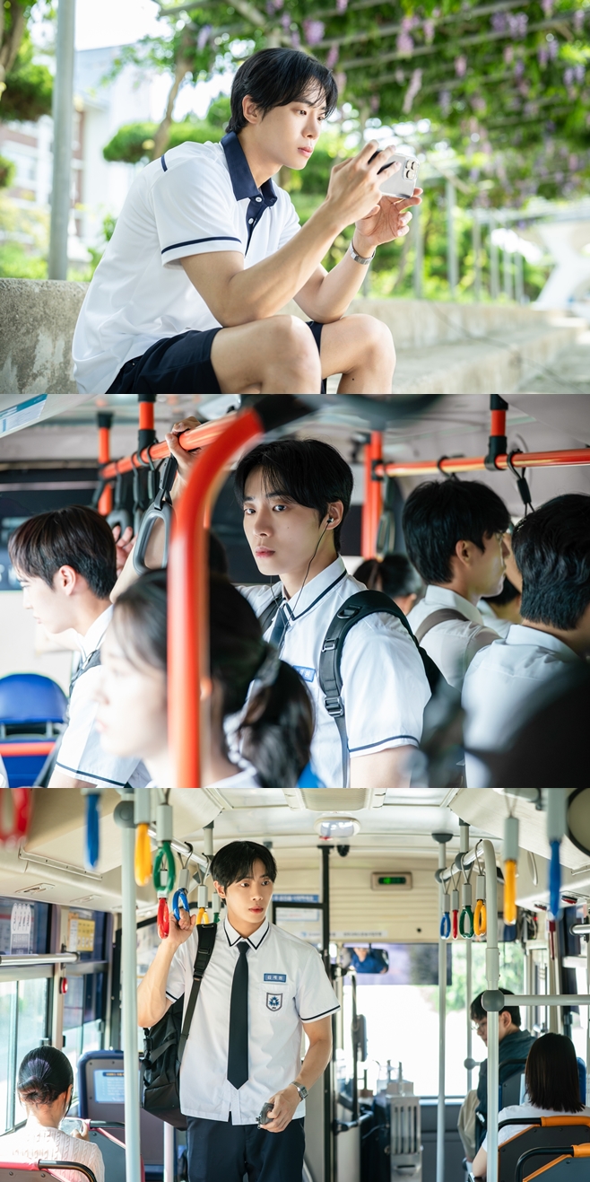 ƼºêÀ̵¥Àϸ® Æ÷Åä