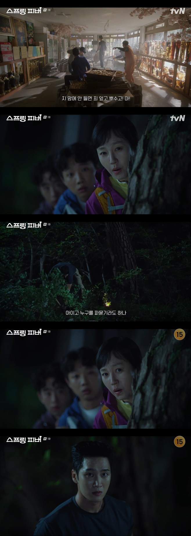 ƼºêÀ̵¥Àϸ® Æ÷Åä