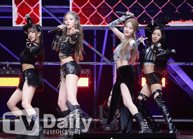 ƼºêÀ̵¥Àϸ® Æ÷Åä