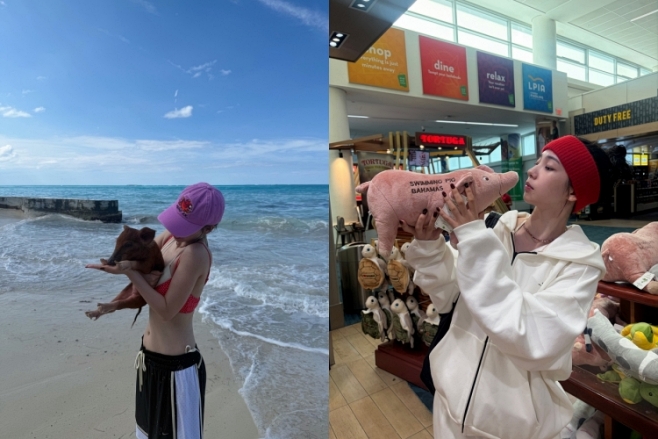 티브이데일리 포토