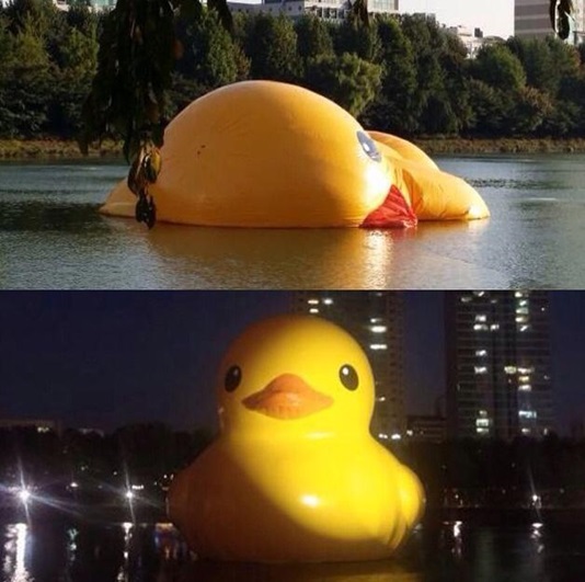 ¼®ÃÌÈ£¼ö ·¯¹ö´ö ³·Àú¹ãÀÌ