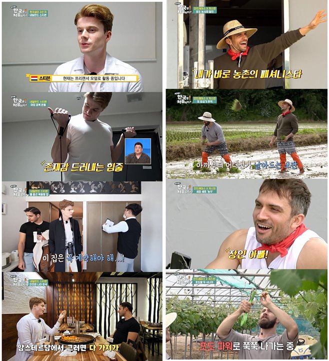 ¾î¼¿Í Çѱ¹»ìÀ̴ óÀ½ÀÌÁö?