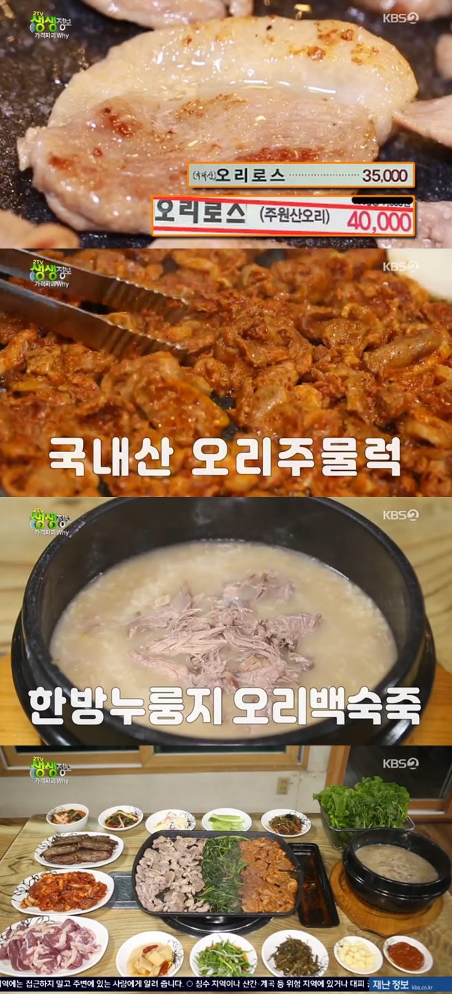 ¡®2TV »ý»ýÁ¤º¸ °¡°ÝÆÄ±«why¡¯ 17000¿ø ¿À¸®¿ä¸®4°¡Áö ¹«Á¦ÇÑ ¸ÀÁý ¡®¼ö¸ñ¿ø°¡µç¡¯