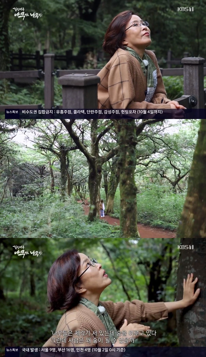 ³ª¹«¾ß ³ª¹«¾ß À̼±Èñ Á¦ÁÖ ºñÀÚ³ª¹« ½£