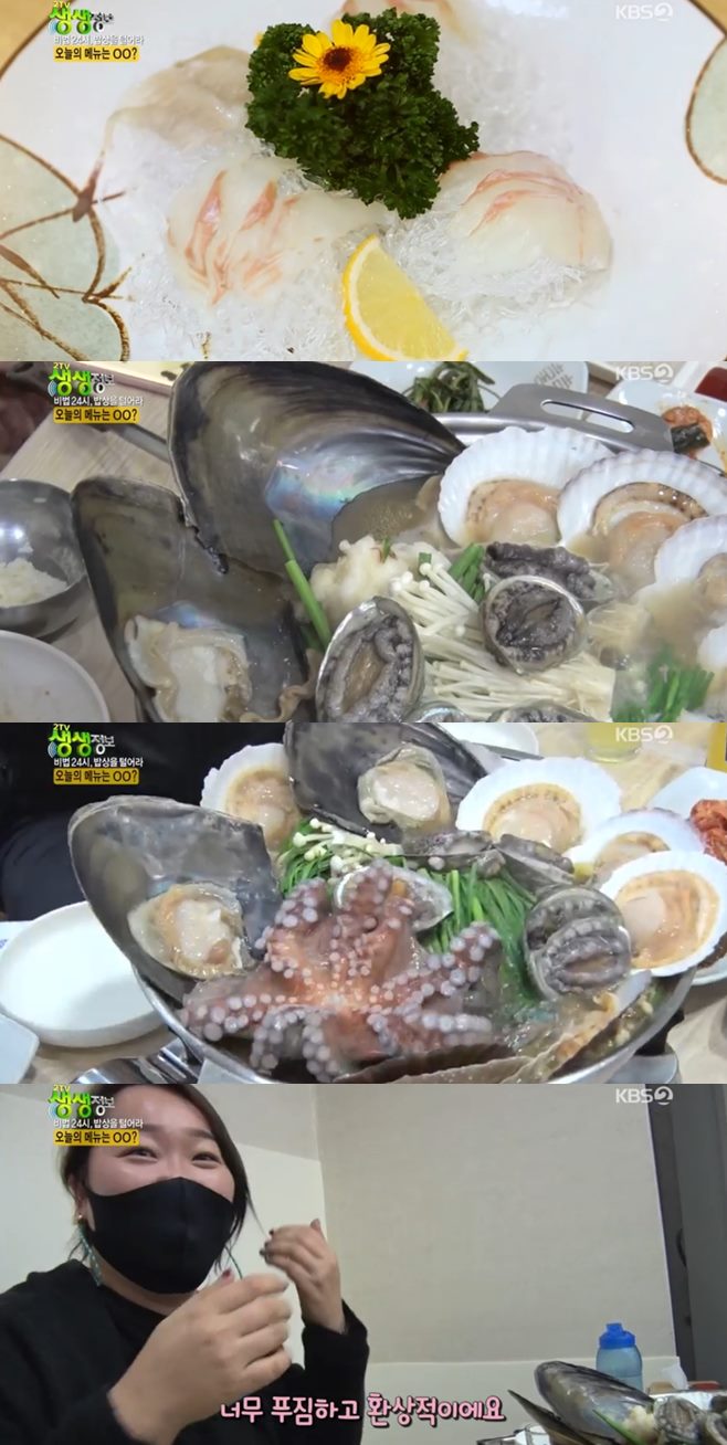 ¡®2TV »ý»ýÁ¤º¸¡¯ ¿ï»ê µµ°¡´Ï¿À¸®Çع°¹é¼÷(´ÀƼ³ª¹«)+Á¤À¾ ¿Ëµ¿Ã»°á¶±¹æ¾Ñ°£