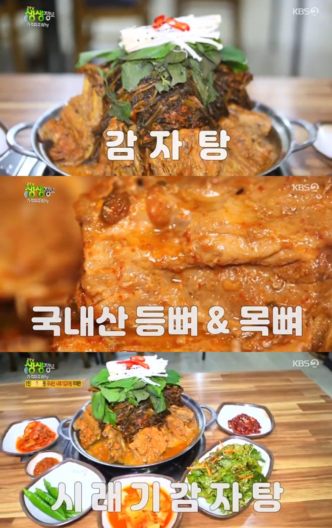 ¡®2TV »ý»ýÁ¤º¸ °¡°ÝÆÄ±«why¡¯ ÀüÁÖ 12900¿ø ½Ã·¡±â°¨ÀÚÅÁ ¡®Àü¿øÁý¡¯ ¸ÀÁý