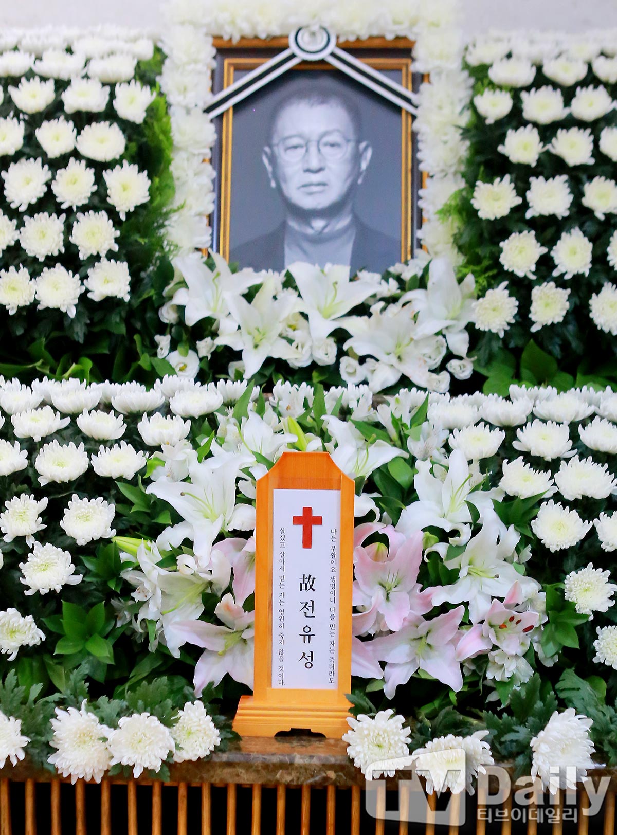 ƼºêÀ̵¥Àϸ® Æ÷Åä