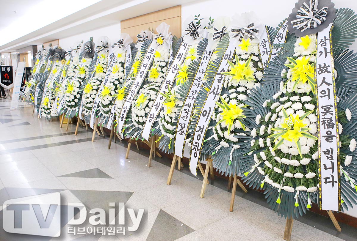 ƼºêÀ̵¥Àϸ® Æ÷Åä