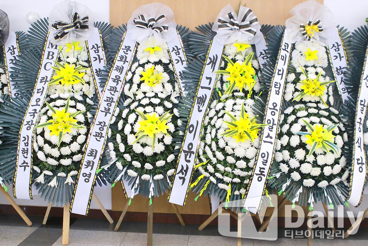 ƼºêÀ̵¥Àϸ® Æ÷Åä