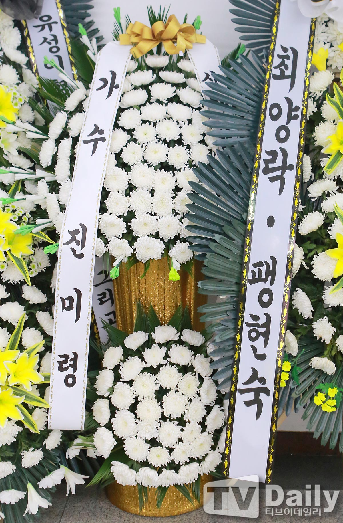 ƼºêÀ̵¥Àϸ® Æ÷Åä