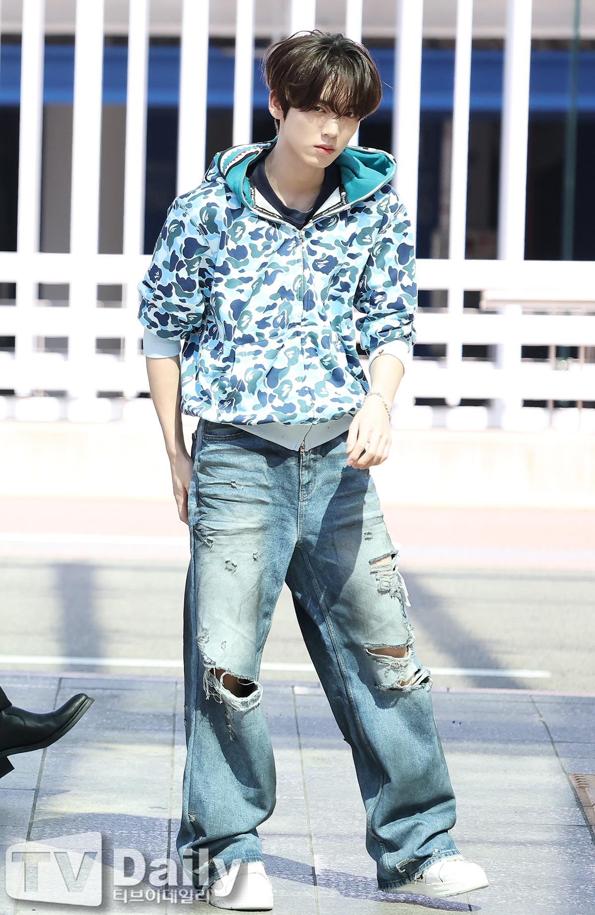 ƼºêÀ̵¥Àϸ® Æ÷Åä