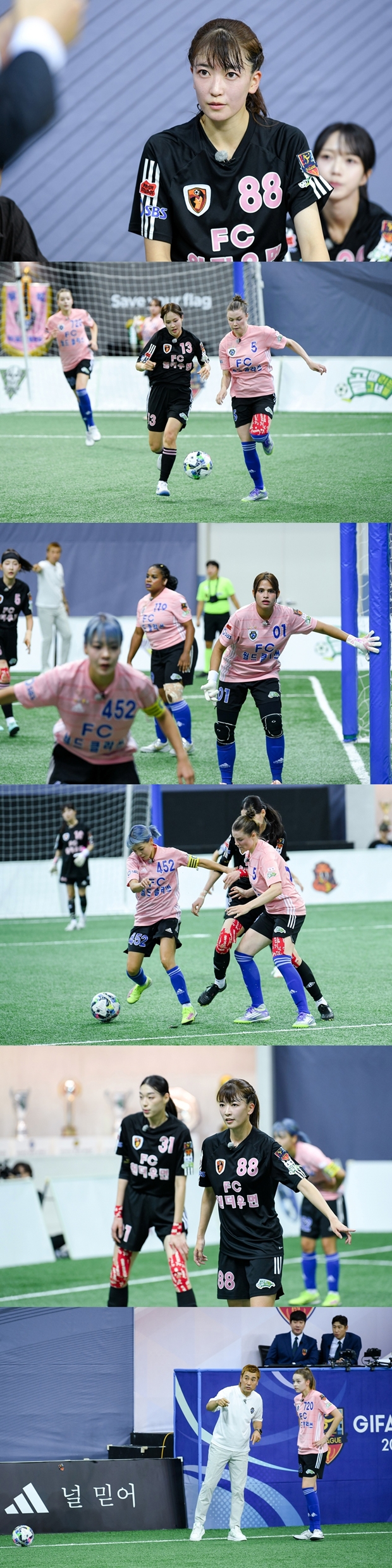 ƼºêÀ̵¥Àϸ® Æ÷Åä