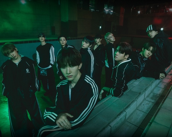 ƼºêÀ̵¥Àϸ® Æ÷Åä