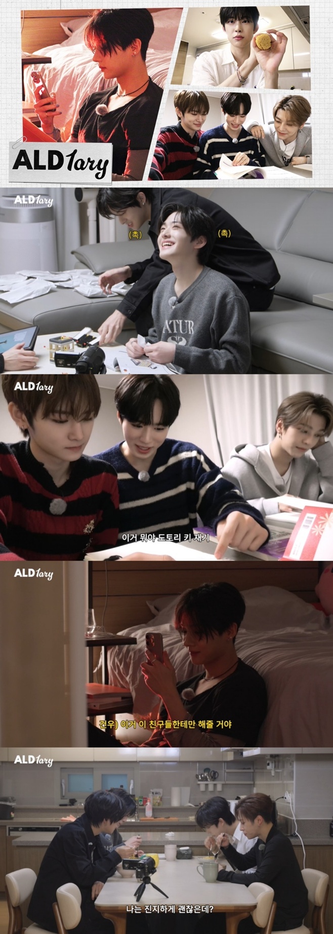 ƼºêÀ̵¥Àϸ® Æ÷Åä