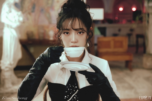 ƼºêÀ̵¥Àϸ® Æ÷Åä