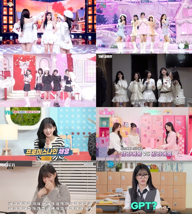 ƼºêÀ̵¥Àϸ® Æ÷Åä