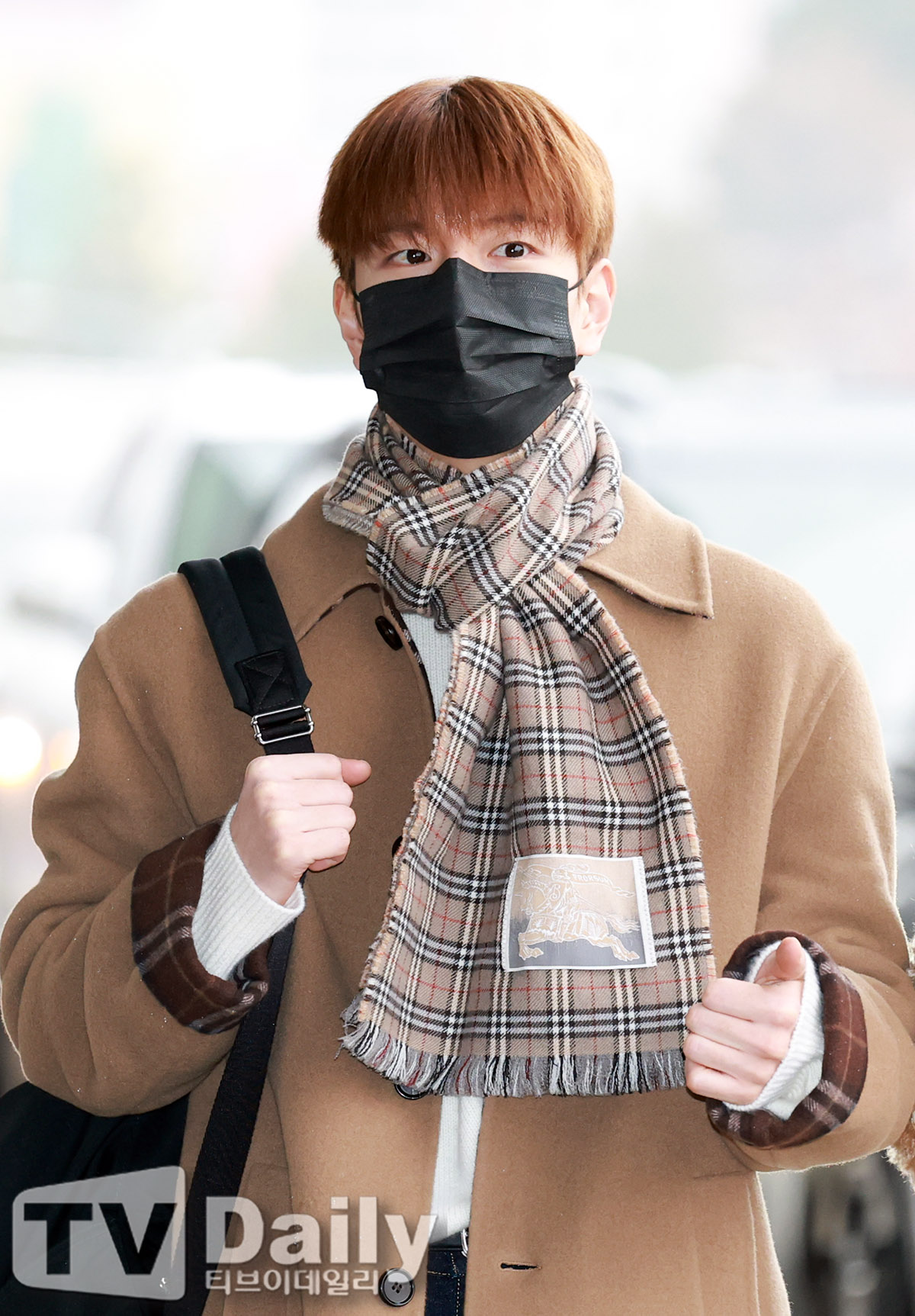 ƼºêÀ̵¥Àϸ® Æ÷Åä