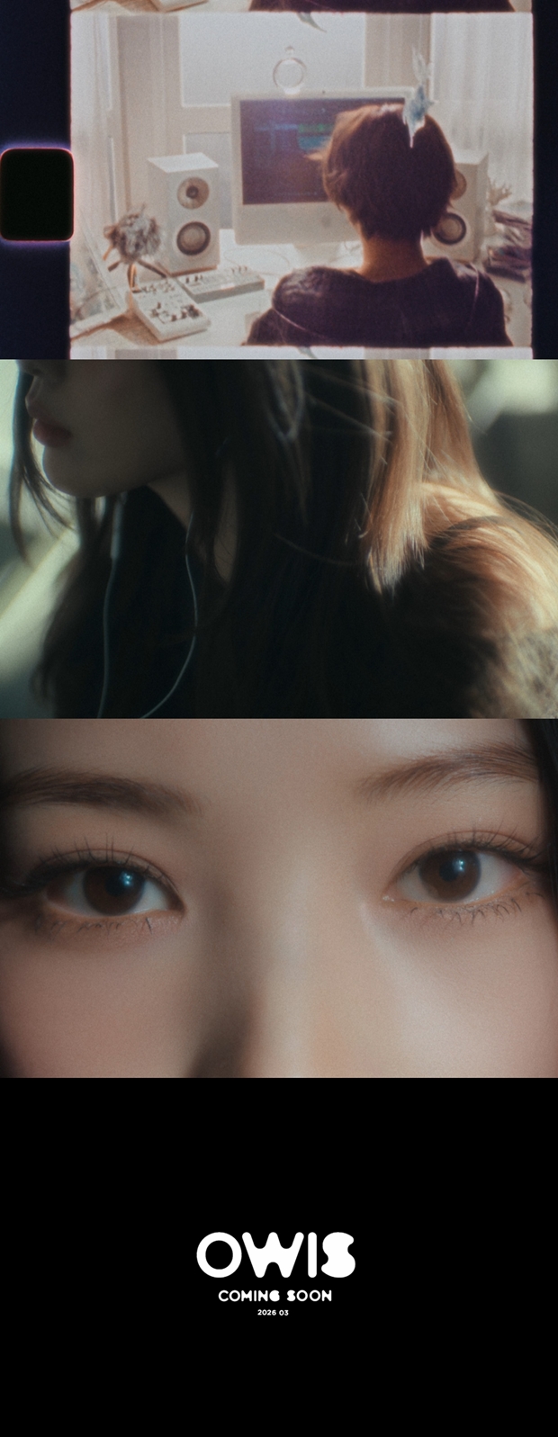 ƼºêÀ̵¥Àϸ® Æ÷Åä