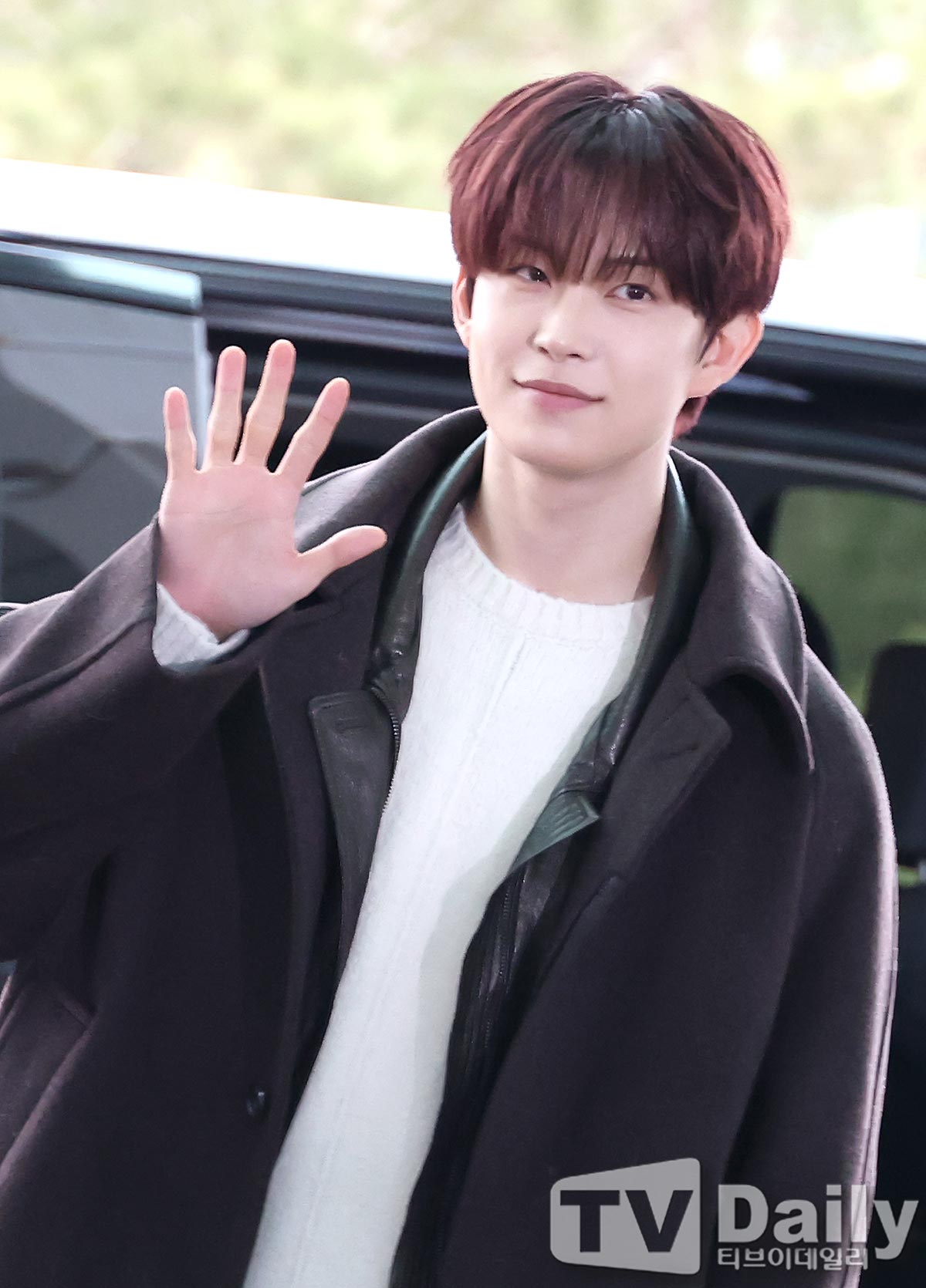 ƼºêÀ̵¥Àϸ® Æ÷Åä