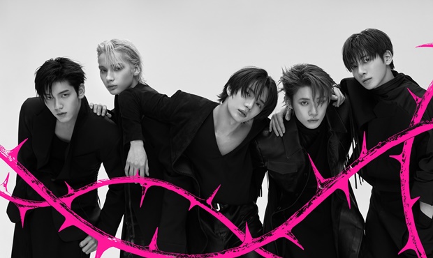 ����ο�������Դ�