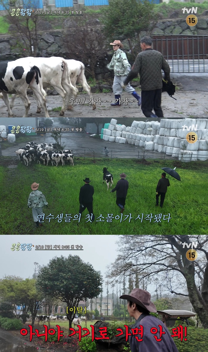 tvN �� ���� �� �� ���� ������ �ϰ��� ��������, ��������