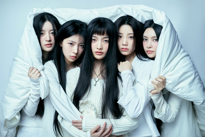 티브이데일리 포토