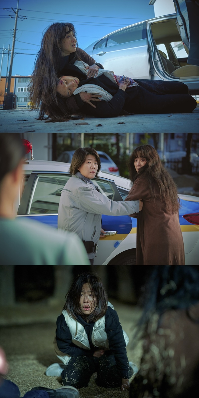 ƼºêÀ̵¥Àϸ® Æ÷Åä