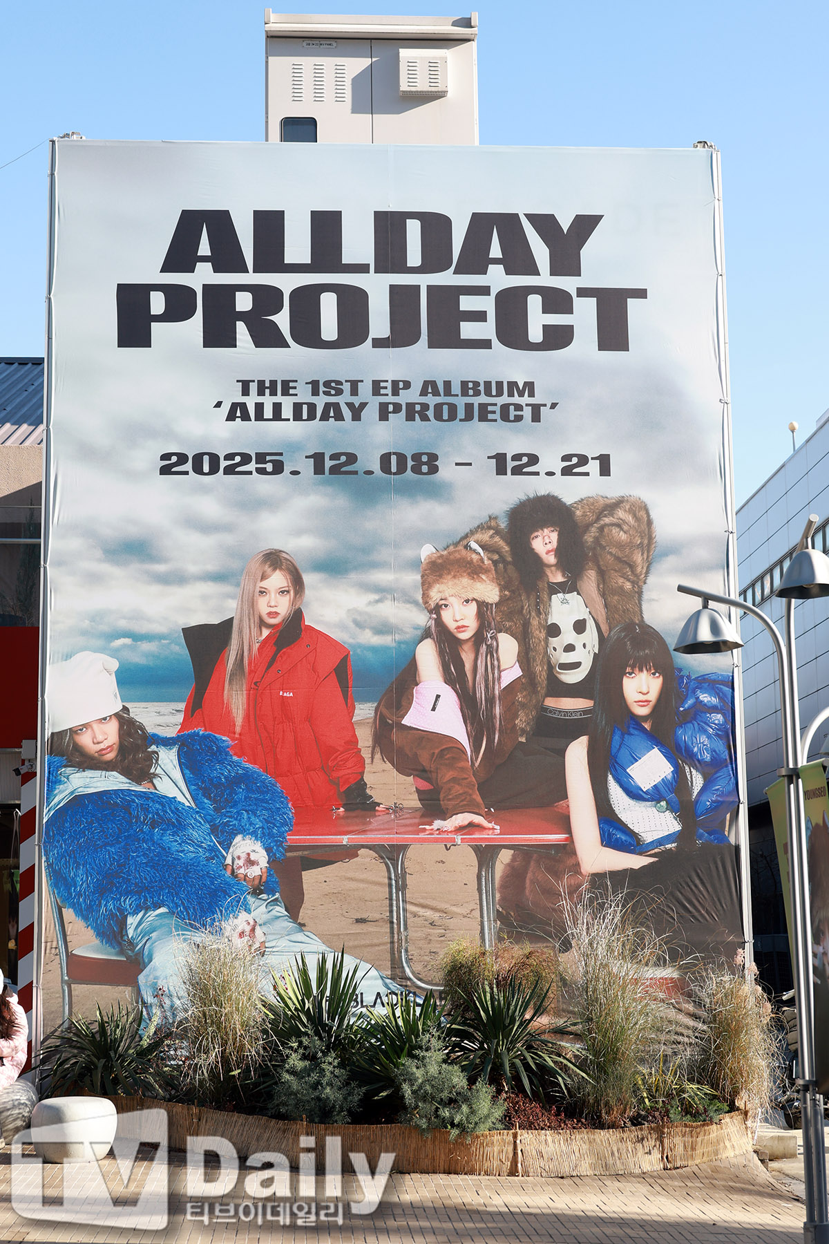 ƼºêÀ̵¥Àϸ® Æ÷Åä