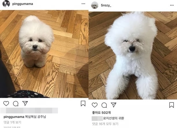 Ƽ���̵��ϸ� ����