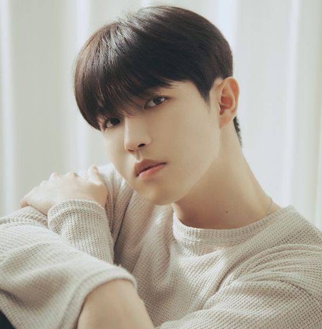 ƼºêÀ̵¥Àϸ® Æ÷Åä