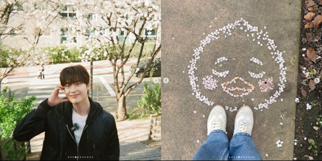 Ƽ���̵��ϸ� ����