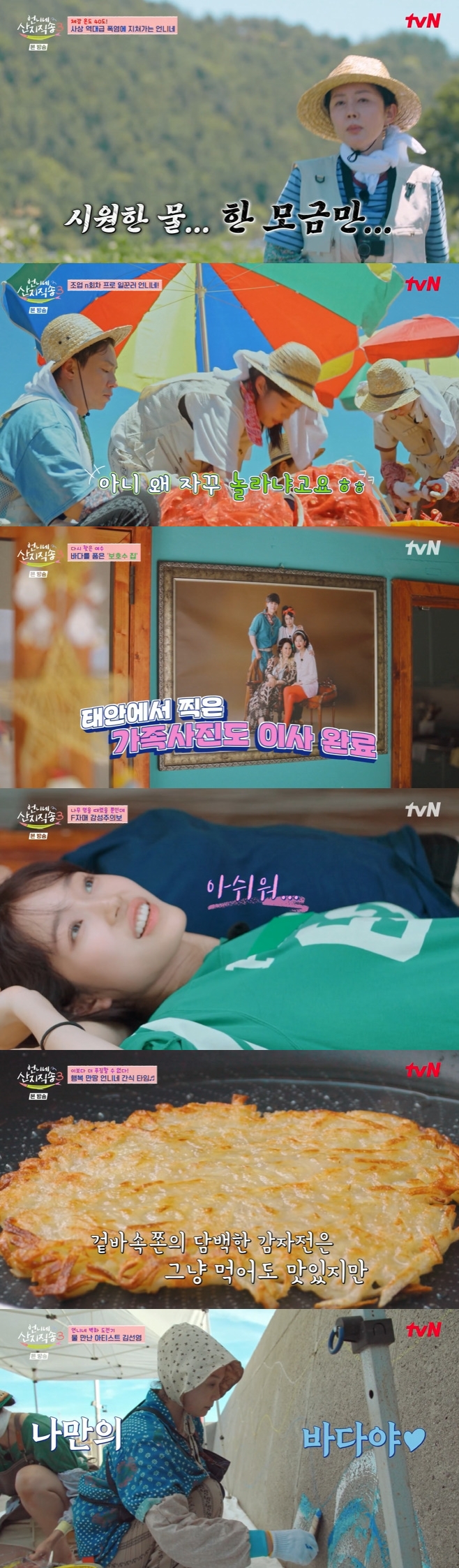 티브이데일리 포토