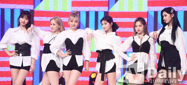 ƼºêÀ̵¥Àϸ® Æ÷Åä