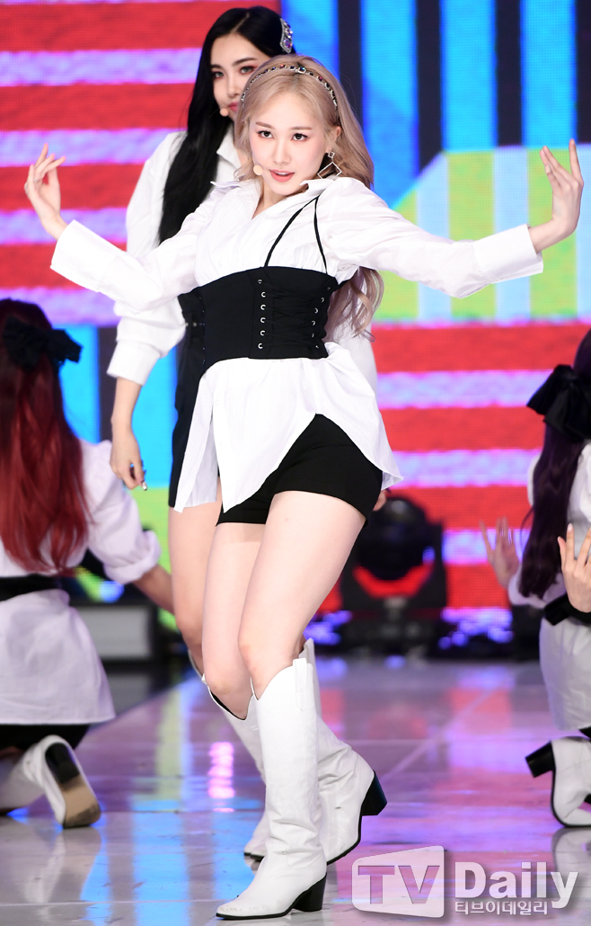 ƼºêÀ̵¥Àϸ® Æ÷Åä