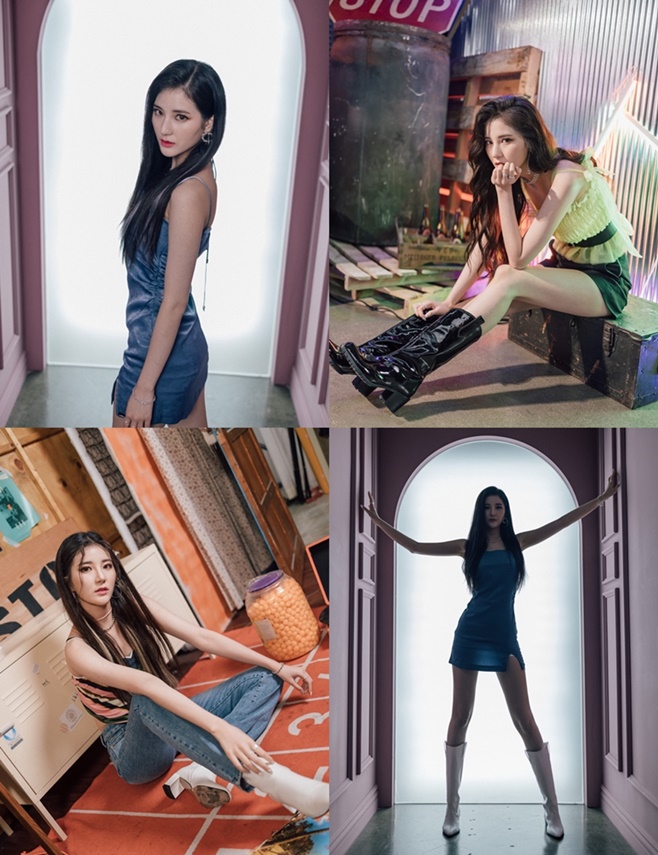 ƼºêÀ̵¥Àϸ® Æ÷Åä