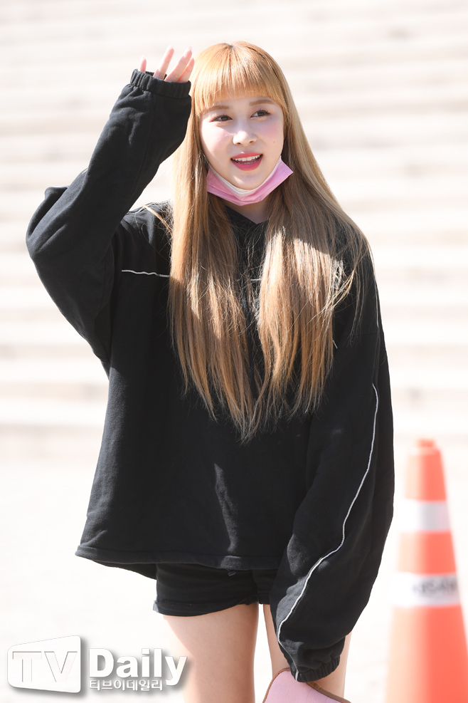 ƼºêÀ̵¥Àϸ® Æ÷Åä