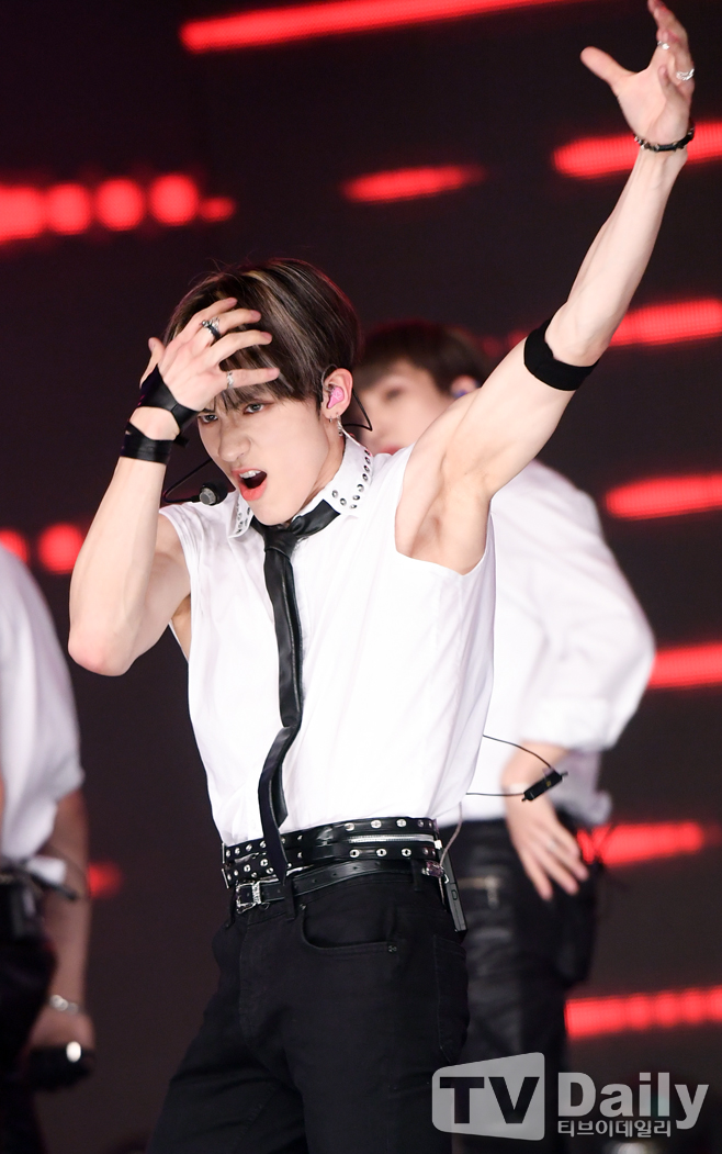 ƼºêÀ̵¥Àϸ® Æ÷Åä