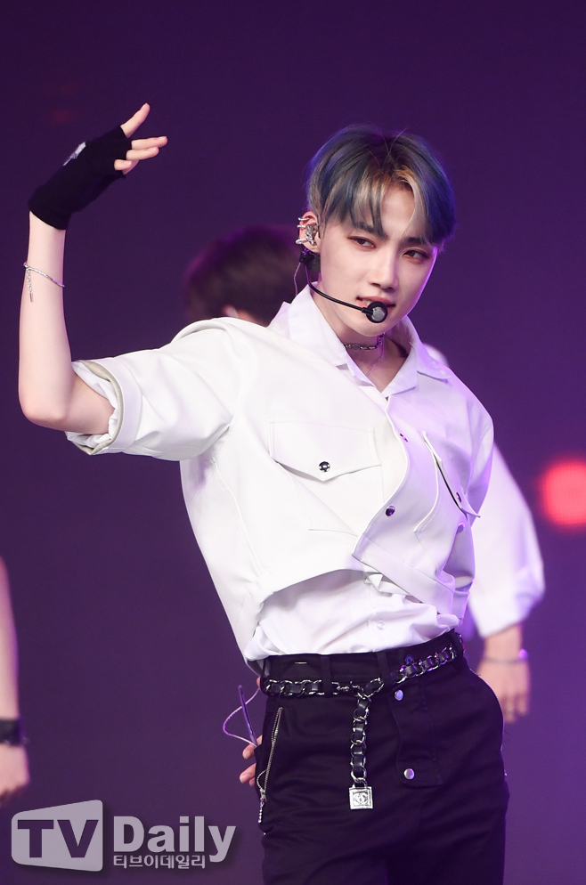 ƼºêÀ̵¥Àϸ® Æ÷Åä