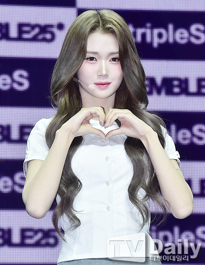 ƼºêÀ̵¥Àϸ® Æ÷Åä