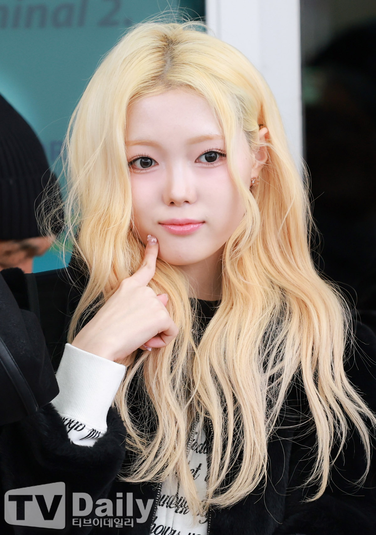 ƼºêÀ̵¥Àϸ® Æ÷Åä