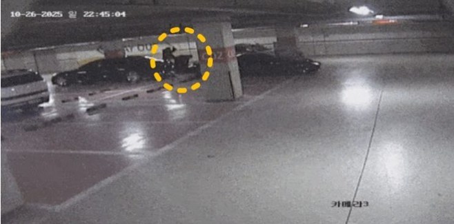 ƼºêÀ̵¥Àϸ® Æ÷Åä